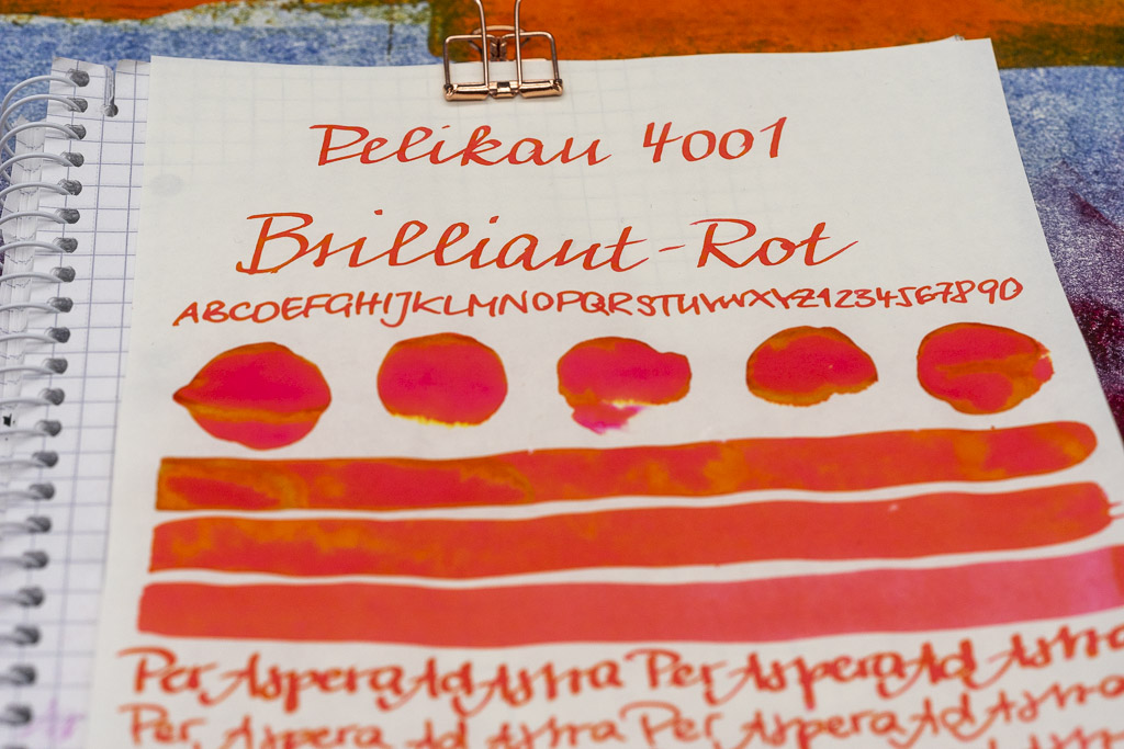 Bild